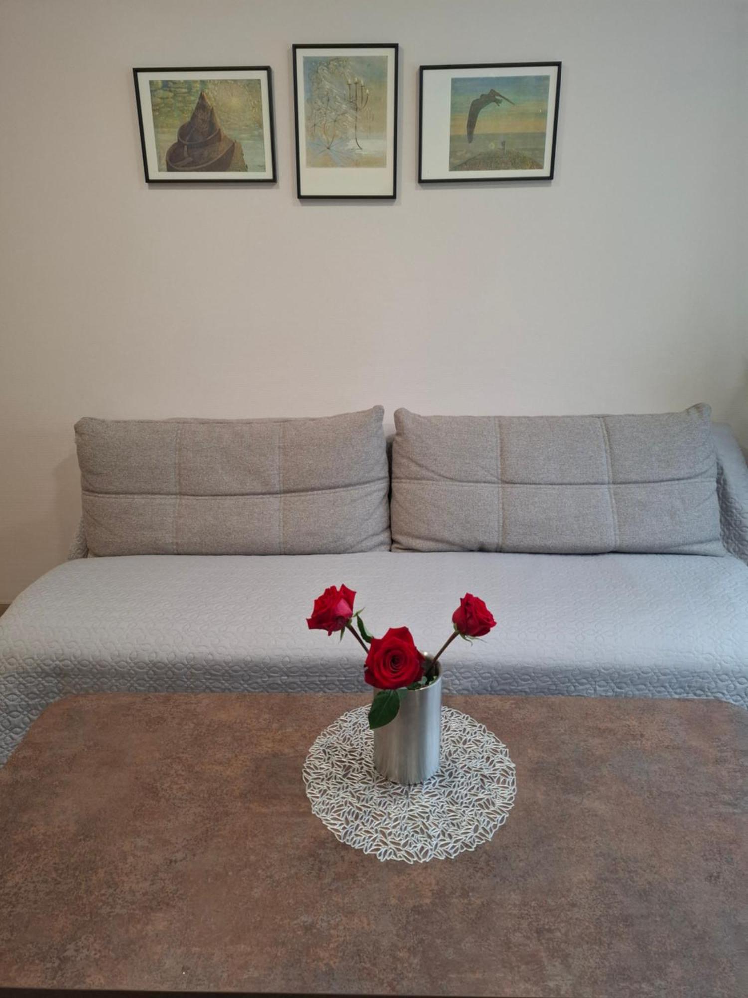 Apartamentai Auris Druskininkai Luaran gambar